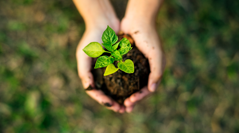 Extir gestión de plásticos reciclados