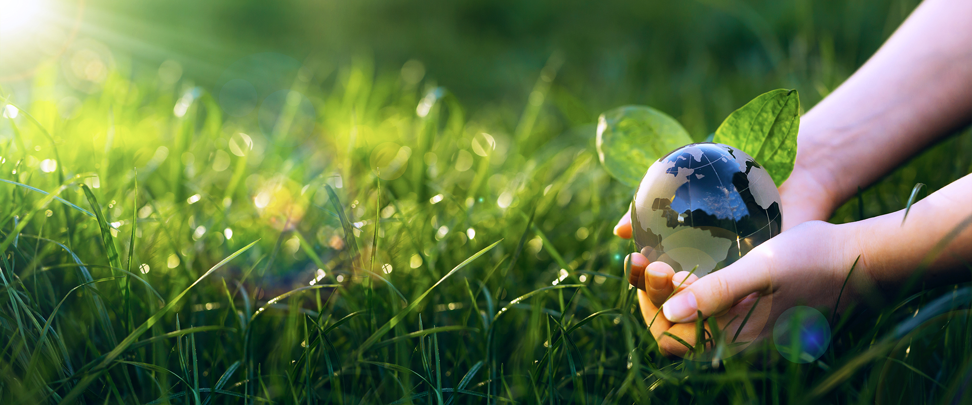 Extir, economía circular y sostenibilidad